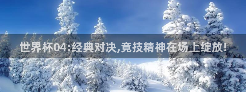 2026世界杯赛:世界杯04:经典对决,竞技精神在场上绽放!