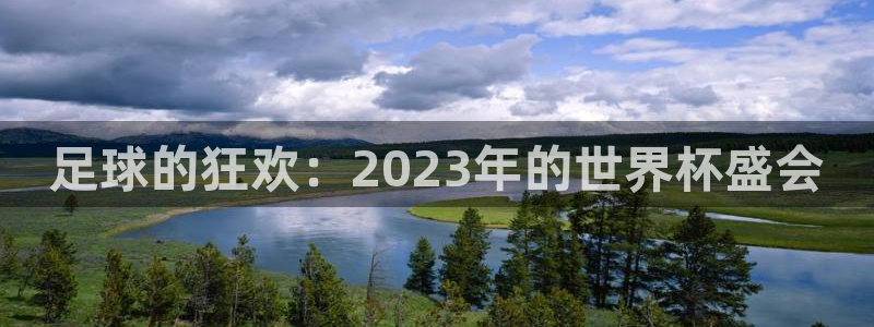 世界杯欧洲预选赛:足球的狂欢:2023年的世界杯盛会