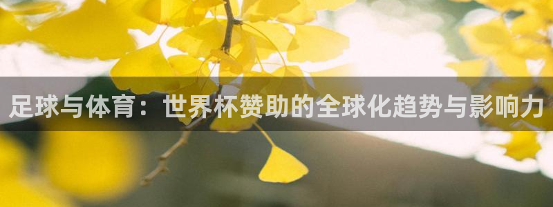 澳门世界杯直播:足球与体育:世界杯赞助的全球化趋势与影响力