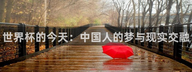 美洲杯直播:世界杯的今天:中国人的梦与现实交融