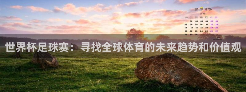 世界杯对阵图2026:世界杯足球赛:寻找全球体育的未来趋势和价值观