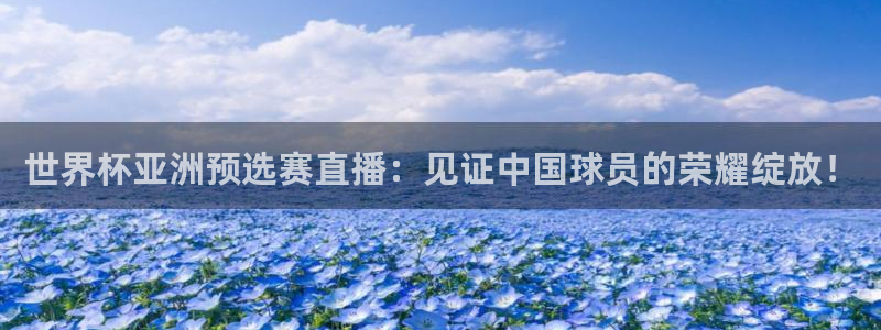 世界杯2026赛程:世界杯亚洲预选赛直播:见证中国球员的荣耀绽放!